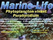 Phytoplancton Porphyridium - 1000 ml 