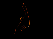 Platax pinnatus S