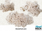 The Reef Rock - Roche Large à la pièce ( 3 - 4,5 kg)