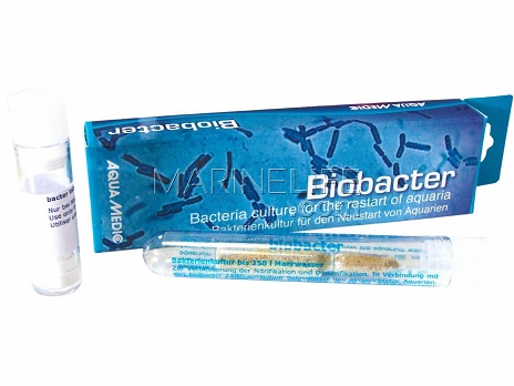 Biobacter - Bactéries pour Cycle de nitrification/ dénitrification