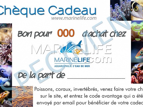Ch&egrave;que Cadeau Valeur 100 Euros