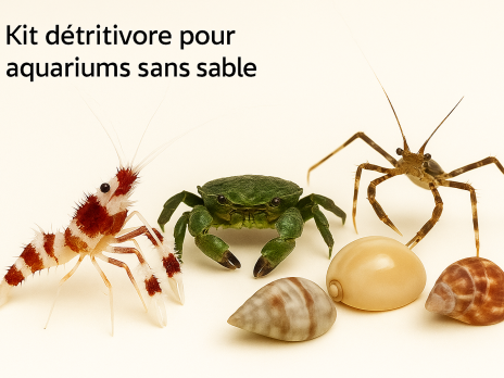 Kit D&eacute;tritivores Roches - SANS sable 11 / 1000 - 1500 Litres