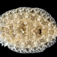 Bothus spp. 6-10 cm