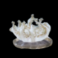 Cassiopea ornata S