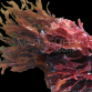 Ceramium sp. M
