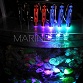 Coral Checker CFP (protéine de fluorescence)- 380nm Eco-lamps®