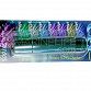 Coral Checker CFP (protéine de fluorescence)- 475nm Eco-lamps®