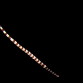 Dunckerocampus dactyliophorus 8-12 cm