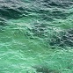Eau de mer naturelle - 40 litres