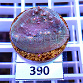 Echinophyllia frag 390 Extra Indonésie
