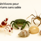 Kit D&eacute;tritivores Roches - SANS sable 11 / 1000 - 1500 Litres