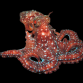Octopus macropus 10-15 cm Rouge