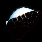 Ovula ovum 6-10 cm