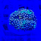 Ricordea floridae rainbow 01