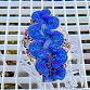 Tridacna maxima blue 06