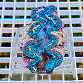 Tridacna maxima blue 07