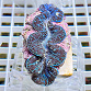 Tridacna maxima blue 08