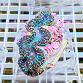 Tridacna maxima blue 09